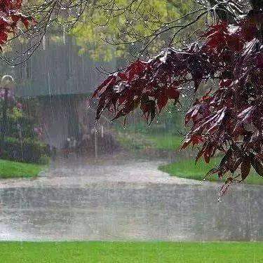 تهطل زخات من المطر هذا الليلة في شمال ووسط المملكة