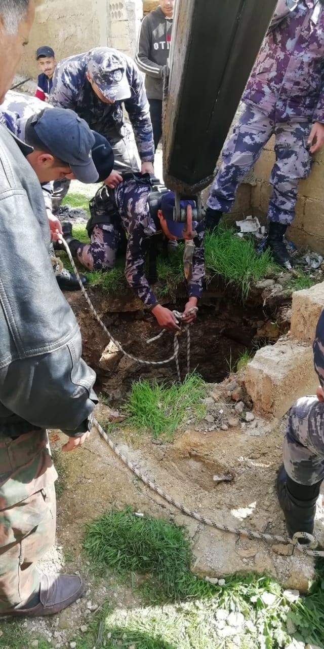 الدفاع المدني ينقذ حصان وثلاثة رؤوس أغنام في حادثي منفصلين في محافظة الكرك