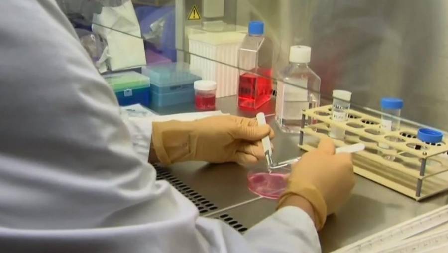 الصحة: لا يخضع جمع العائدين من إيطاليا لفحص كورونا