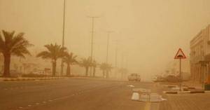 البيئة تحذر من الخروج من المنزل الا للضرورة القصوى