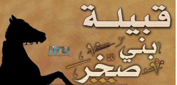 قبيلة بني صخر تقدم ديوانها للجيش