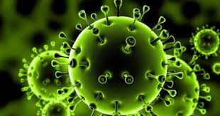الإصابات بفيروس كورونا عالميا يتجاوز 740 ألفا