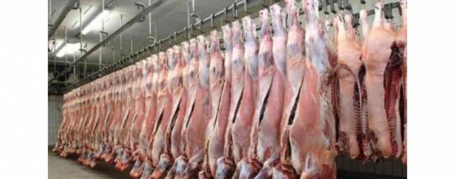 اعادة تشغيل مسلخ بلدية اربد في رمضان