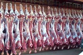 وصول كميات من اللحوم الحمراء الطازجة المستوردة لمسلخ عمان