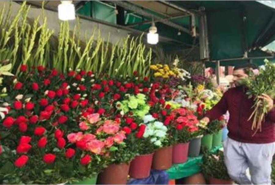 الحكومة تنظر بفتح محلات بيع الأزهار