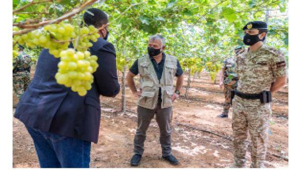 الملك يؤكد أهمية التحول للزراعات ذات القيمة المضافة العالية واستهداف الأسواق التصديرية