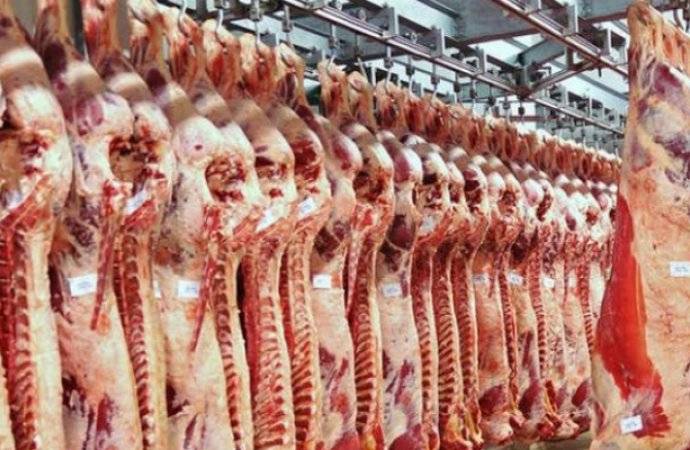 مسلخ الأمانة ينتج يوميا 30 ألفا من الدواجن وذبح ألف رأس بقر وغنم