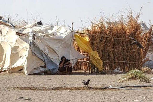 Fear of virus grows in Yemens squalid camps