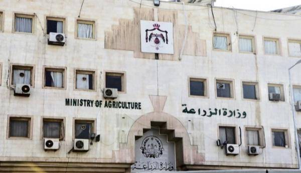 وزارة الزراعة تنفي وجود هرمونات في البطيخ... وثيقة