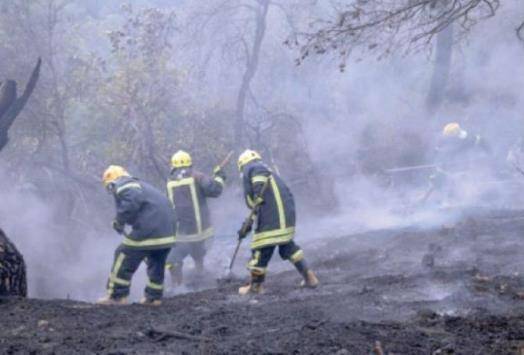 الامن العام : ضبط ثلاثة اشخاص والبحث عن رابع تسببوا او تعمدوا اشعال حرائق ضمن محافظات اقليم الشمال .