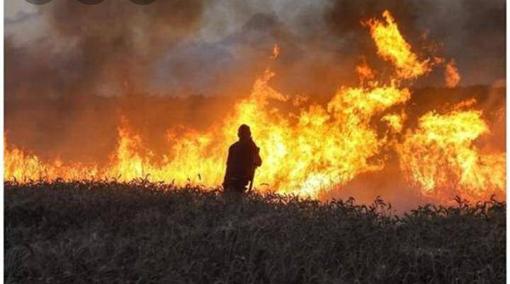 ضبط شخص تسبب بحريق ٥٠ دونماً في الاشجار والاعشاب في محافظة جرش .