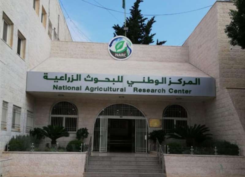 البحوث الزراعية يدعو للتباعد بين المحاصيل تفاديا لانتشار الحرائق