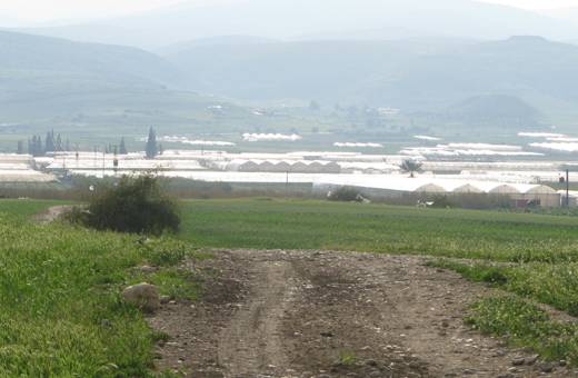 تسجيل اصابة ثلاثينية بكورونا في الكريمه بلواء الاغوار الشمالية