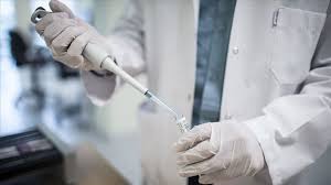 الاردن تتفوق بالدولة التي انتهجت افضل طريقة لاحتواء كورونا