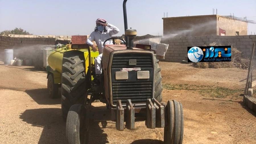 بلدية الجفر: اجراءات للقضاء على الحشرات... فيديو وصور