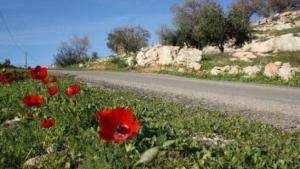 تعرف على حالة الطقس لثالث يوم العيد .. تفاصيل