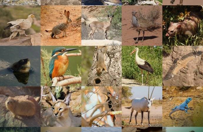 الأردن يشارك العالم احتفالات يوم البيئة العالمي