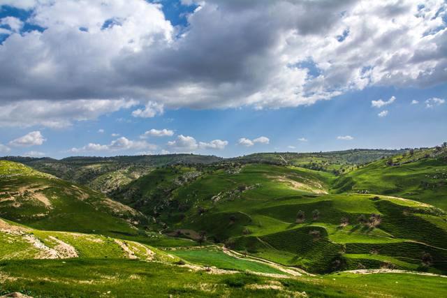 World Environment Day: Jordan joins regional voices to advocate for biodiversity