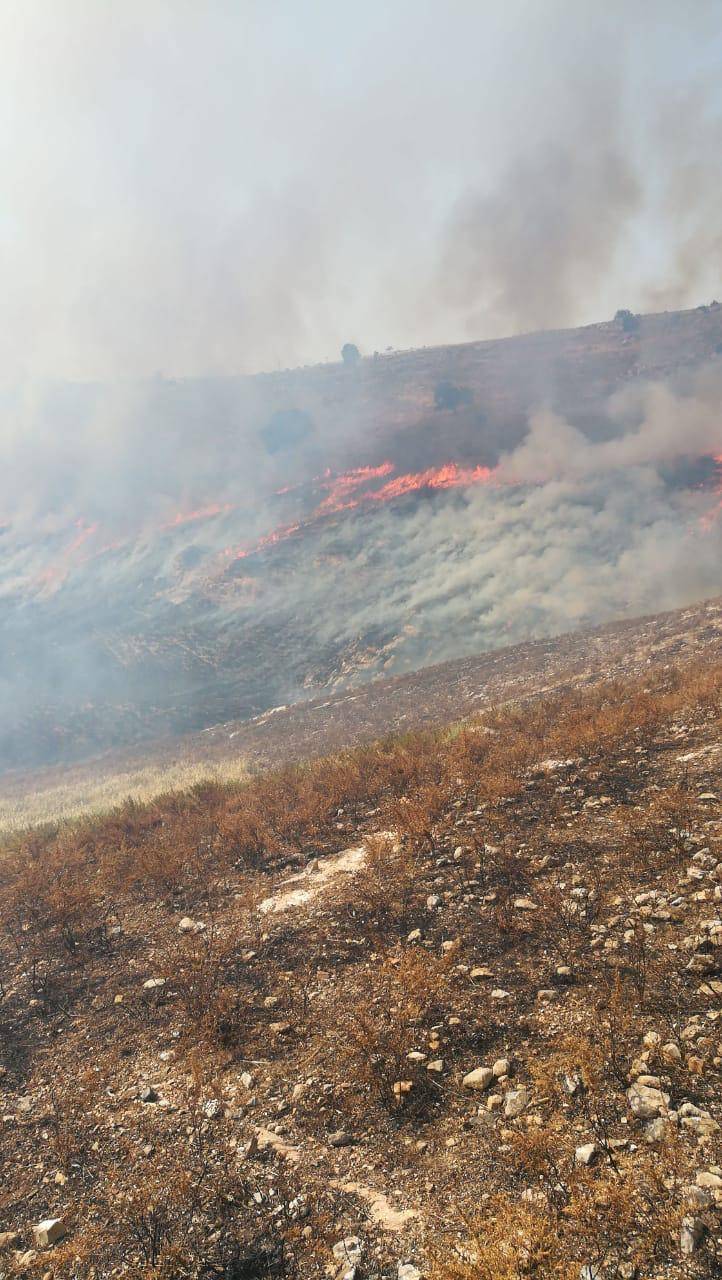 إخماد حريق محاصيل زراعية في محافظة مادبا