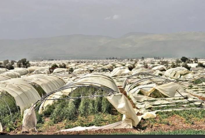 (مليون) دينار تم إقراضها للمزارعين المتضررين بدون فوائد شملت أكثر من (120) مزارع.