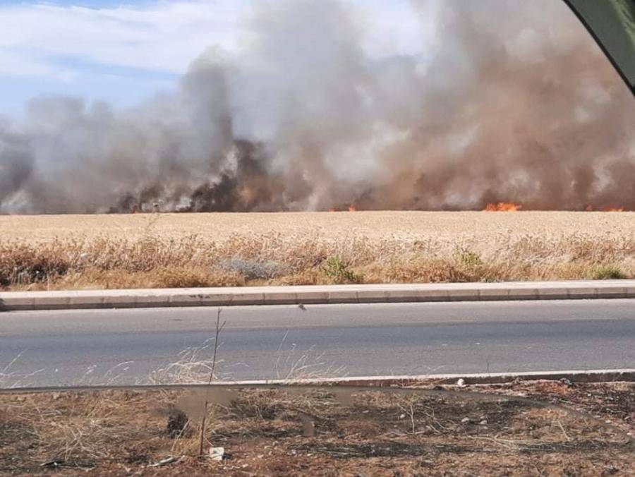 حريق كبير يلتهم مساحات واسعة من الأراضي الزراعية في اربد