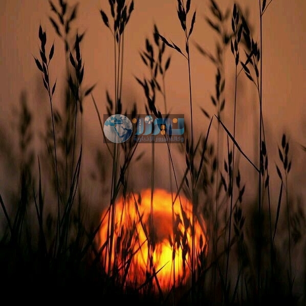 ارتفاع قليل على درجات الحرارة  ليوم السبت