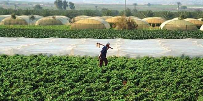 مطالب بإعادة النظر في قرار تخفيض موازنة القطاع الزراعي