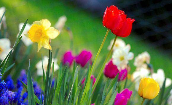 الخميس أجواء صيفية معتدلة بأغلب المناطق