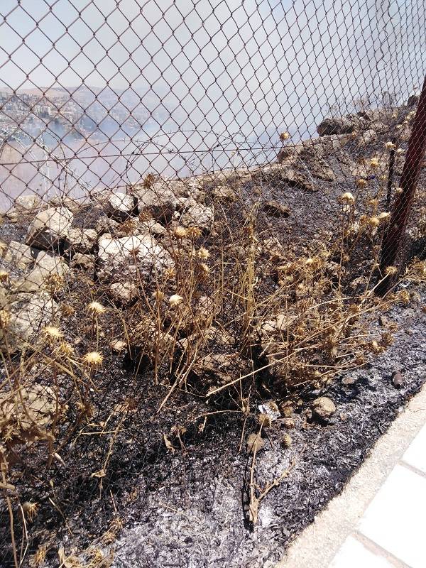 جرش حريق في منطقة الاثار (صور)