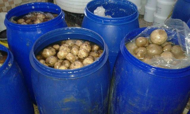 اتلاف أطنان مخللات متعفنة واغلاق مصنع بالشمع الأحمر في عمان