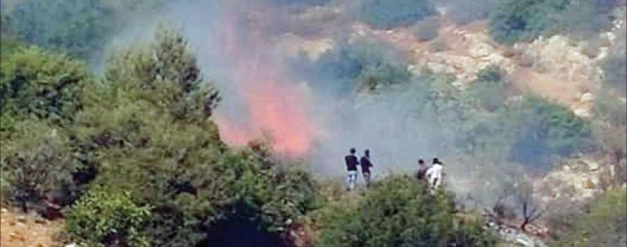 حرائق الغابات والاعتداء على الحراج ..تتجدد صيفا