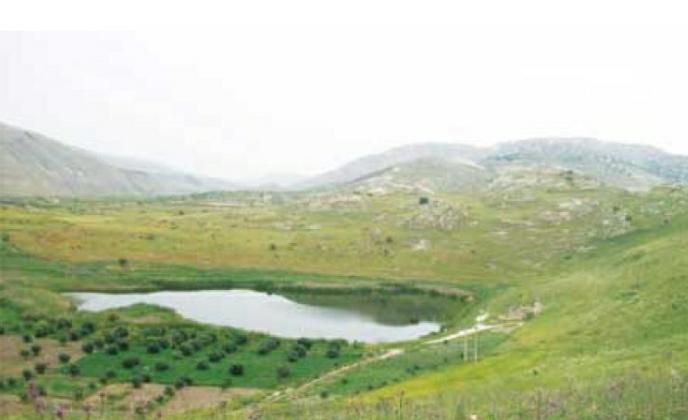 حركة سياحية نشطة بمحمية اليرموك الطبيعية بمحافظة اربد