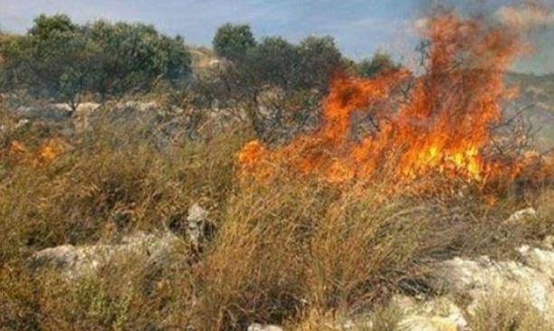 الدفاع المدني يخمد حريقين من الأعشاب الجافة والأشجار الحرجية في محافظة جرش