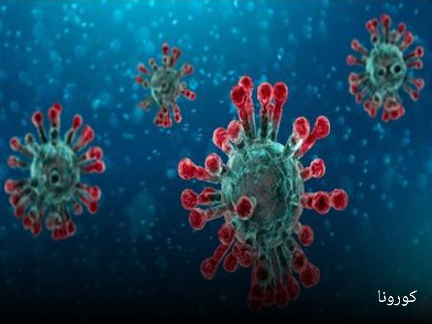 عاجل ..سُجِّلت اليوم (5) حالات إصابة بفيروس كورونا المستجد ...تفاصيل