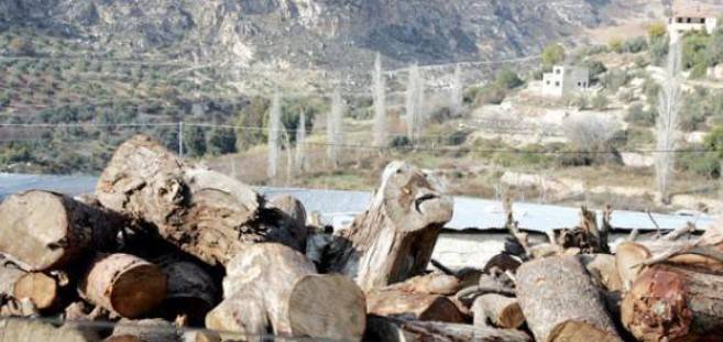 ضبط طنّين حطب حجري في محافظة عجلون