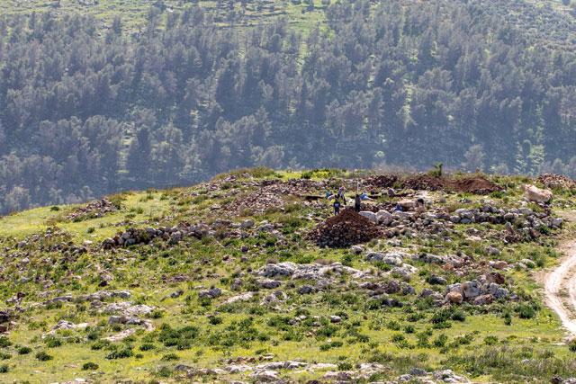 Australian scholar explores ancient olive presses in Jordan