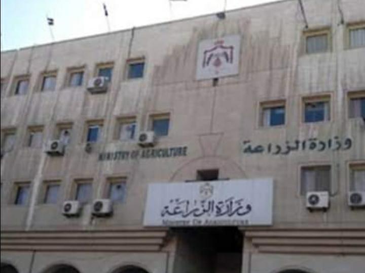 وزارة الزراعة: ما ورد بخصوص استيراد دواجن من أوكرانيا خلال فترة تعليق الاستيراد عارٍ عن الصحّة ومنافٍ للواقع