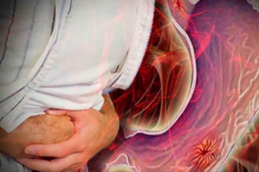 ما نوع بكتيريا لحوم عين الباشا؟؟