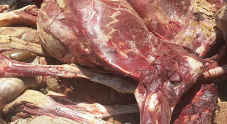 ضبط لحوم فاسدة وإتلافها في الجبيهة بالعاصمة عمان