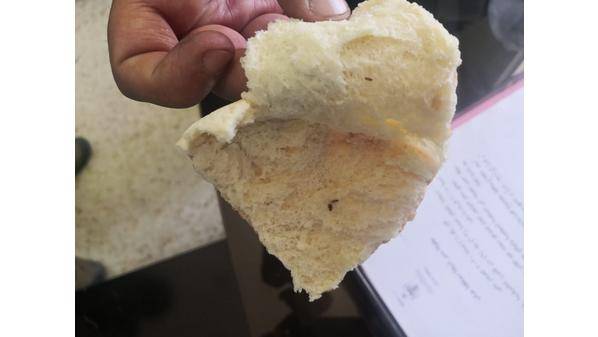 اغلاق مخبز في جرش لوجود حشرات وصراصير في الخبز (صور)