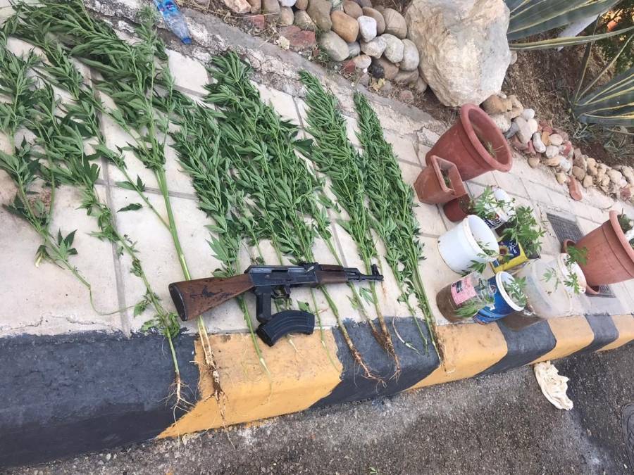 القبض على  11 مطلوب بقضايا مخدرات