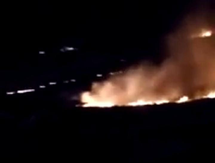 حريق يشب بين الاعشاب الجافة والأشجار الحرجية  في محافظة الطفيلة ...فيديو