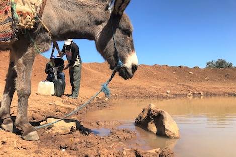 نائب سابق يسكن عمان ذاق ذرعاً بانقطاع المياه عن منزله فقرر جلب المياه بالـحمار و الجركن .. تفاصيل