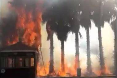 حريق يأتي على أشجار وكوخ للشرطة ومركبة في جرش.. فيديو