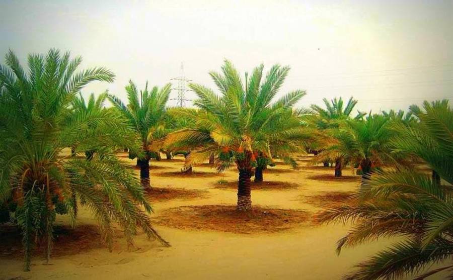 أجواء معتدلة الحرارة في أغلب مناطق المملكة