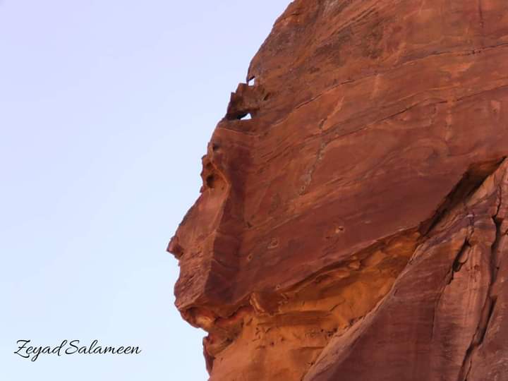 تشكيلات صخرية طبيعية على هيئة كائنات حية...صور