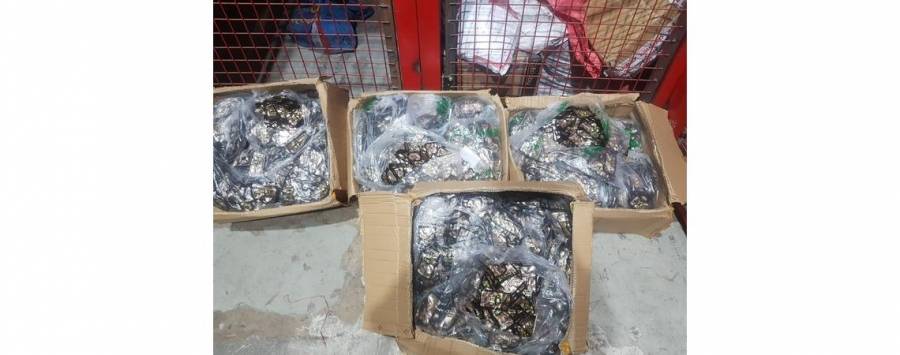 الجمارك تضبط مواد مخدرة في جمرك مطار الشحن