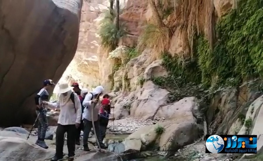 وادي النخيل في الشوبك وسياحة المغامرات.. صور وفيديو