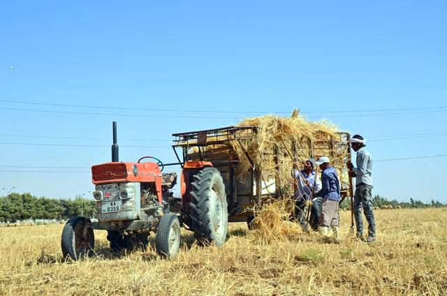 Shortage of foreign labour hits agriculture sector — farmers