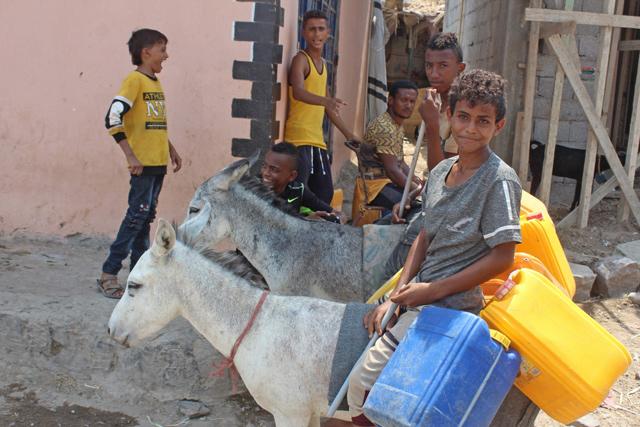 Donkeys turn into prized asset as Yemen economy sags